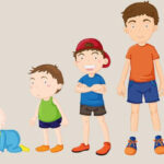 Bảng cân nặng của trẻ sơ sinh và chiều cao của trẻ theo chuẩn WHO