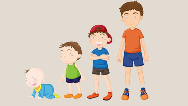 Nguyên tắc tính chiều cao cho trẻ