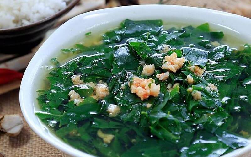 Rau ngót giàu sắt và vitamin